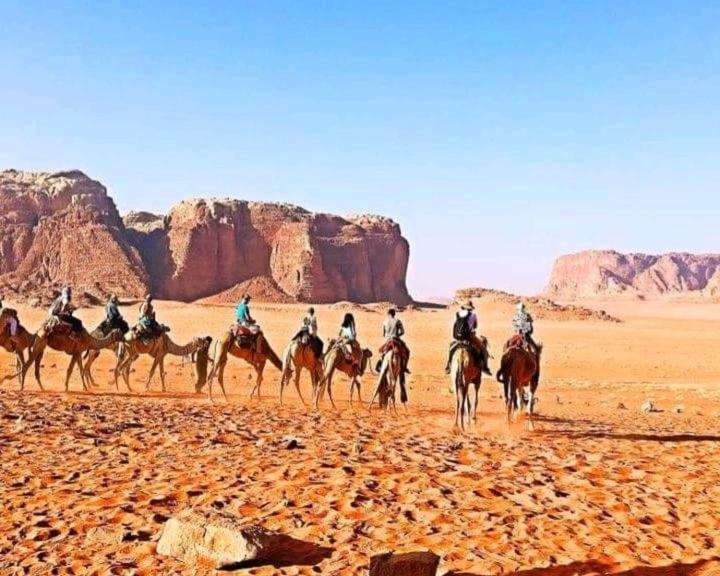 Joy Of Life - Wadi Rum Camp Exterior foto