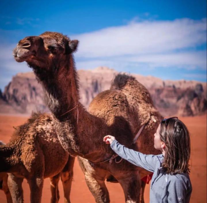 Joy Of Life - Wadi Rum Camp Exterior foto